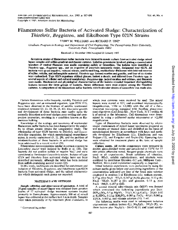 (PDF) Filamentous sulfur bacteria of activated sludge: characterization ...
