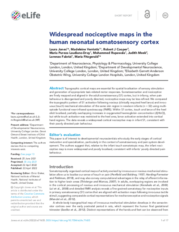(PDF) Widespread nociceptive maps in the human neonatal somatosensory ...