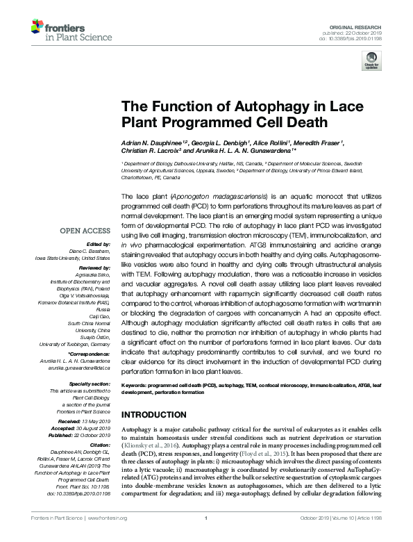(PDF) The Function of Autophagy in Lace Plant Programmed Cell Death
