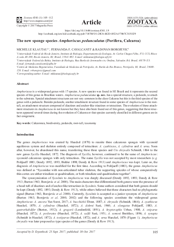 (PDF) The new sponge species Amphoriscus pedunculatus (Porifera, Calcarea)