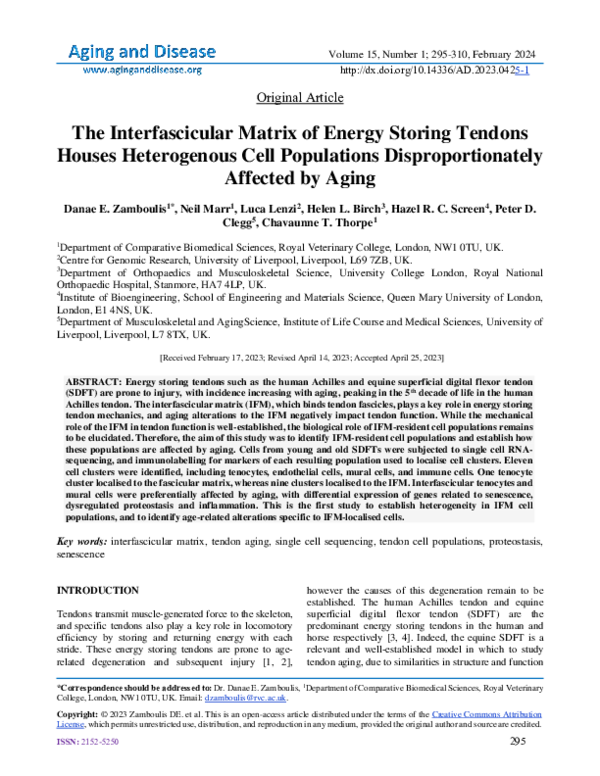 (PDF) The Interfascicular Matrix of Energy Storing Tendons Houses ...