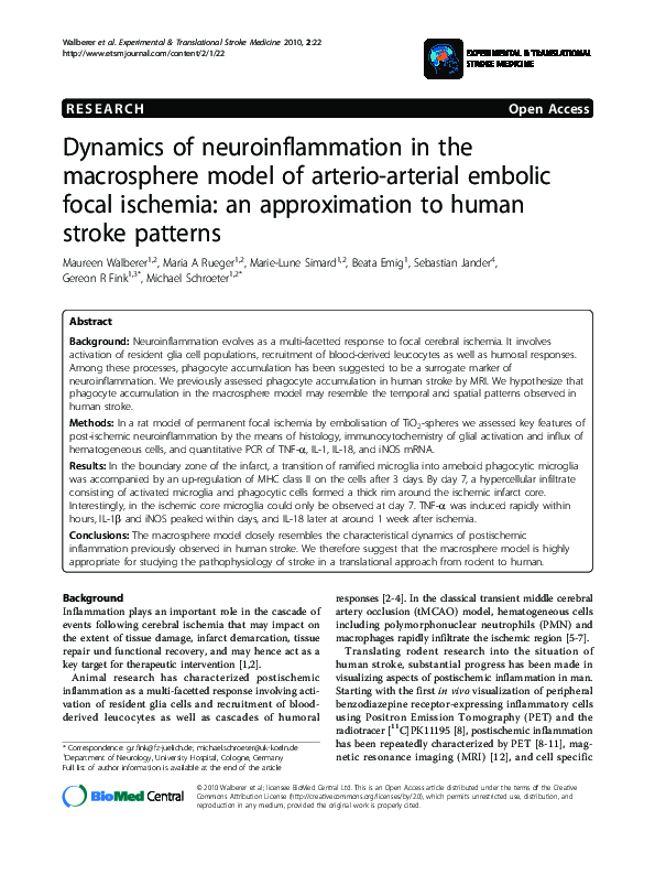 (PDF) Dynamics of neuroinflammation in the macrosphere model of arterio ...