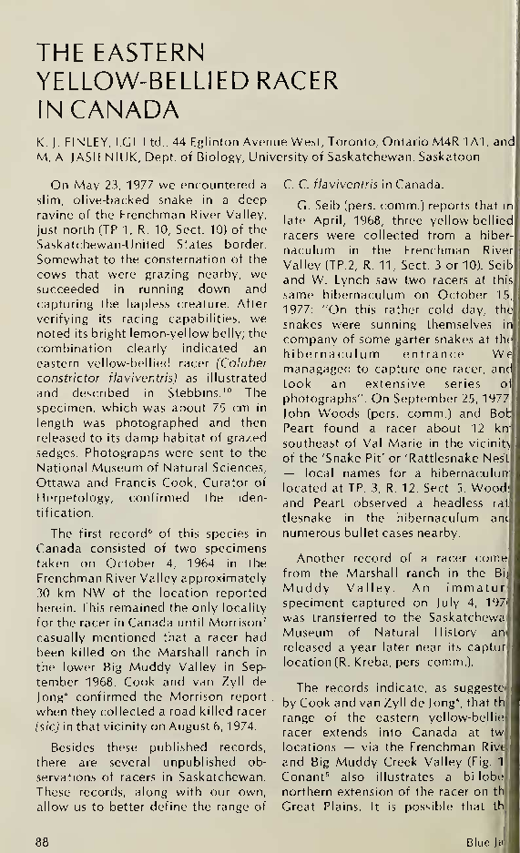 (PDF) The Eastern Yellow-Bellied Racer in Canada