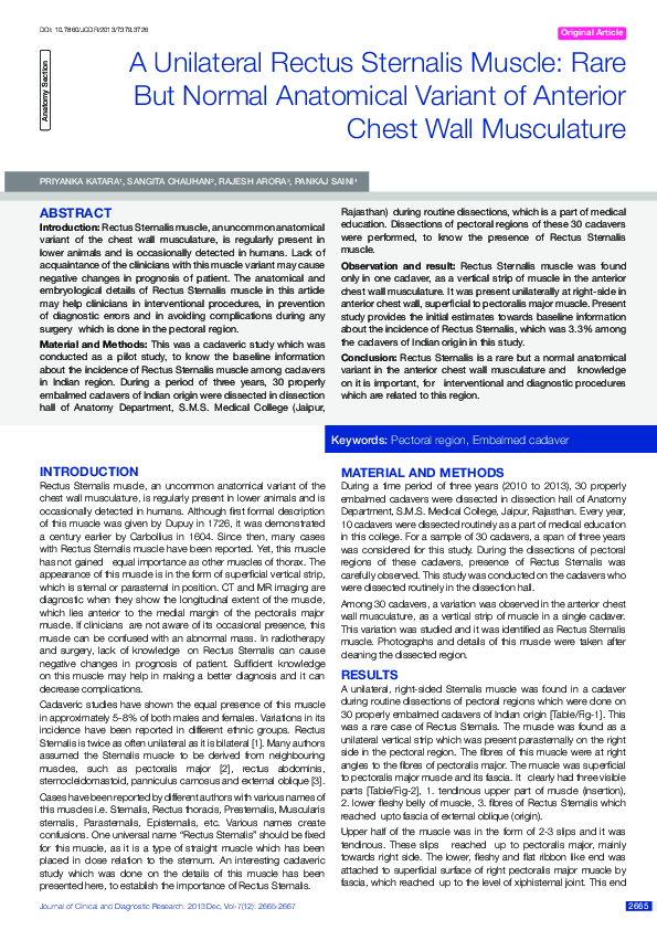 (PDF) Unilateral Rectus Sternalis Muscle: Rare But Normal Anatomical ...