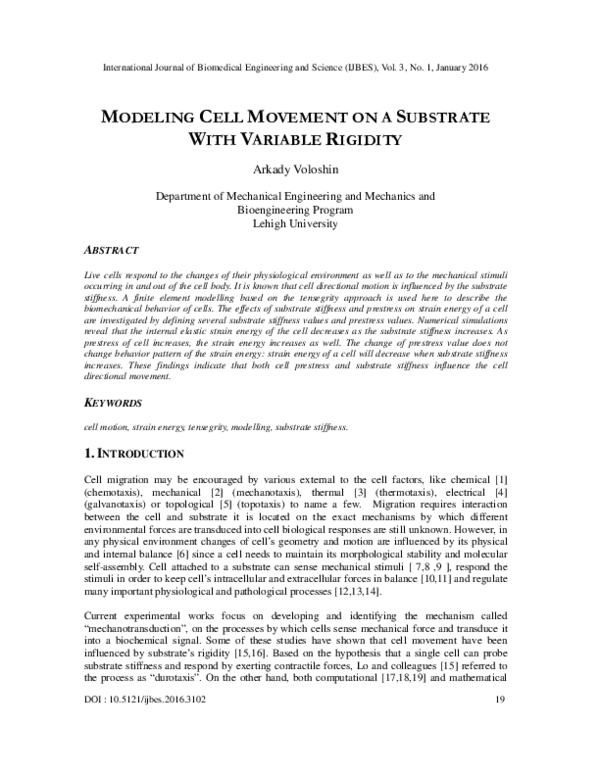 (PDF) Modeling Cell Movement on a Substrate with Variable Rigidity