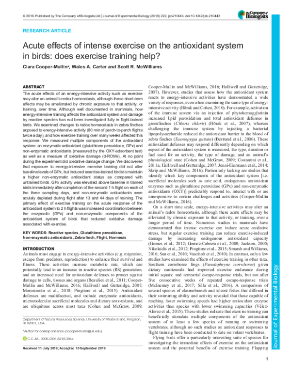 (PDF) Acute effects of intense exercise on the antioxidant system in ...