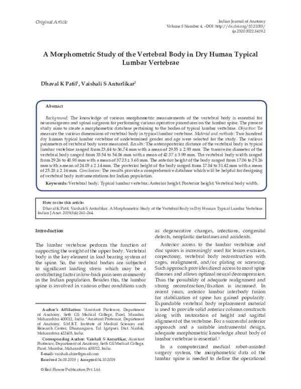 (PDF) A Morphometric Study of the Vertebral Body in Dry Human Typical ...