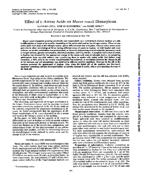 (PDF) Effect of L-amino acids on Mucor rouxii dimorphism