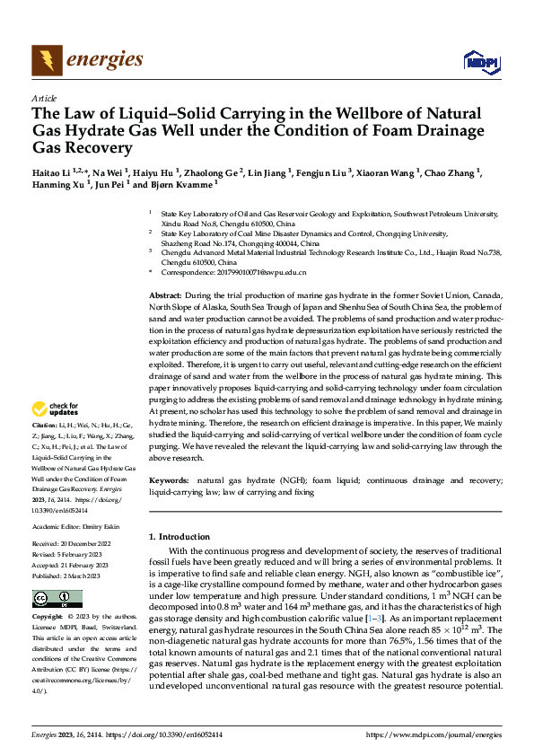 (PDF) The Law of Liquid–Solid Carrying in the Wellbore of Natural Gas ...