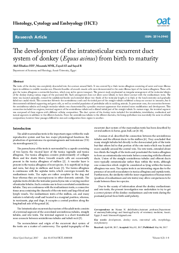 (PDF) The development of the intratesticular excurrent duct system of ...