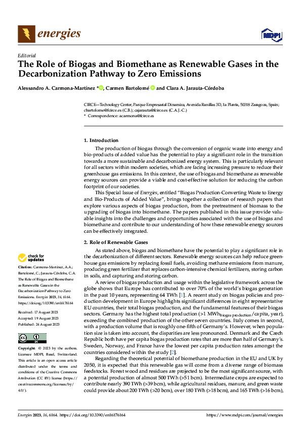 (PDF) The Role of Biogas and Biomethane as Renewable Gases in the ...