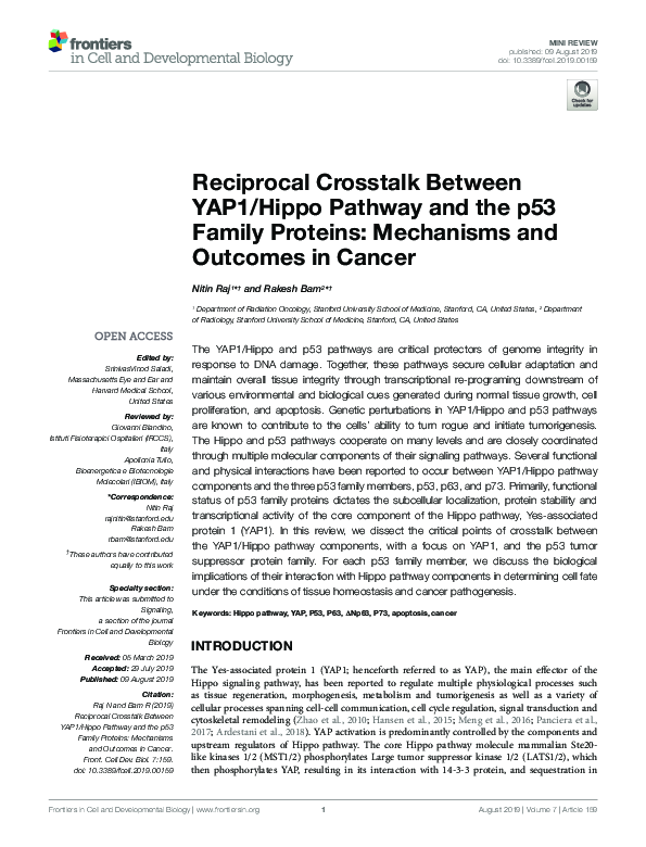 (PDF) Reciprocal Crosstalk Between YAP1/Hippo Pathway and the p53 ...