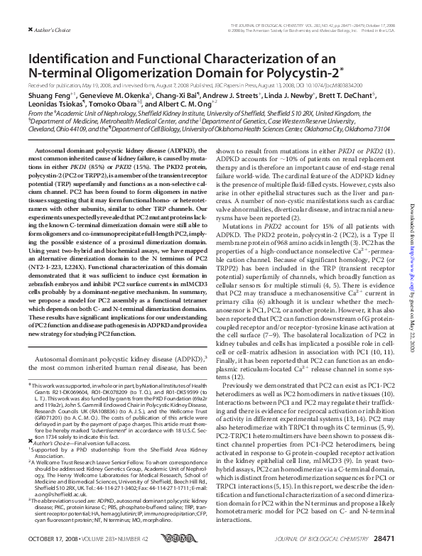 (PDF) Identification and Functional Characterization of an N-terminal ...