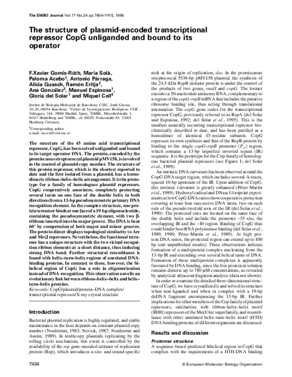 (PDF) Transcriptional Repressor Copg