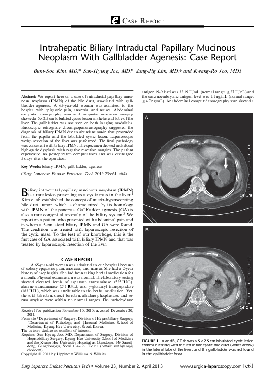 (PDF) Intrahepatic Biliary Intraductal Papillary Mucinous Neoplasm With ...
