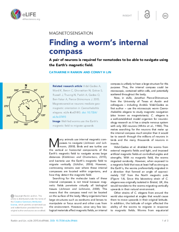 (PDF) Finding a worm's internal compass