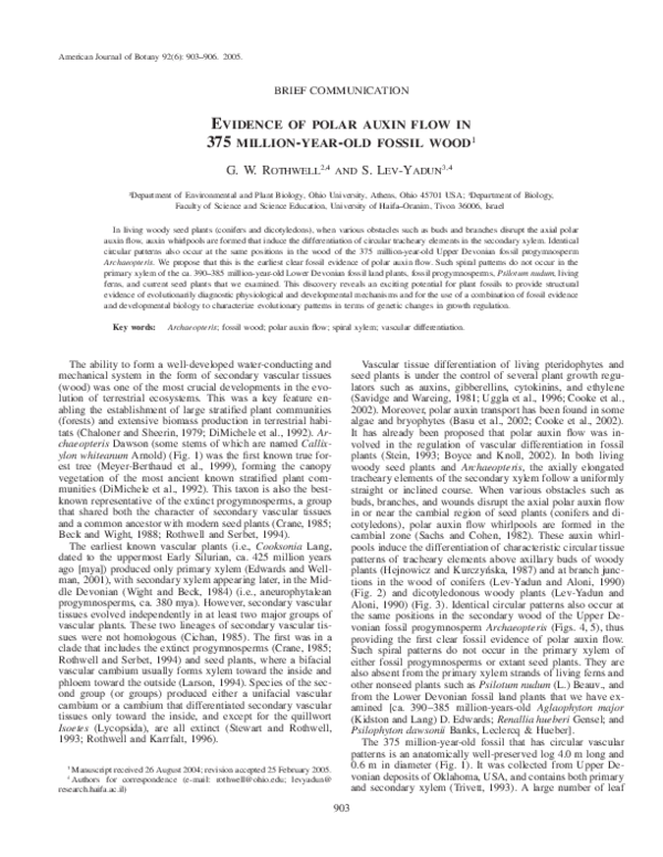 (PDF) Evidence of polar auxin flow in 375 million-year-old fossil wood