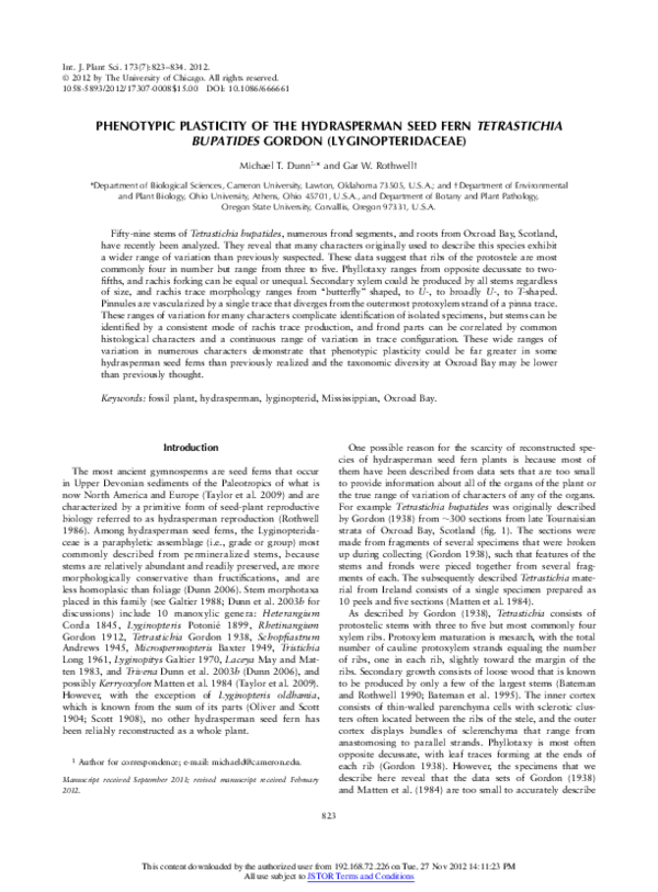 (PDF) Phenotypic Plasticity of the Hydrasperman Seed Fern Tetrastichia ...