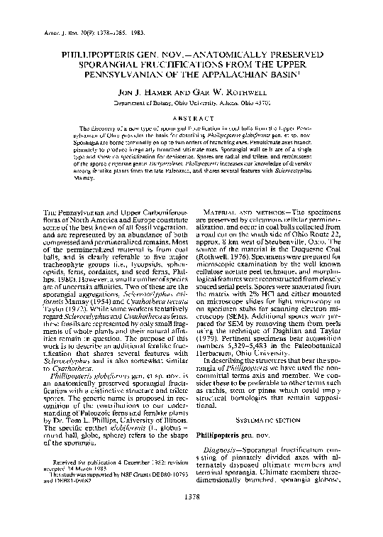 (PDF) Phillipopteris Gen. NOV.—ANATOMICALLY Preserved Sporangial ...