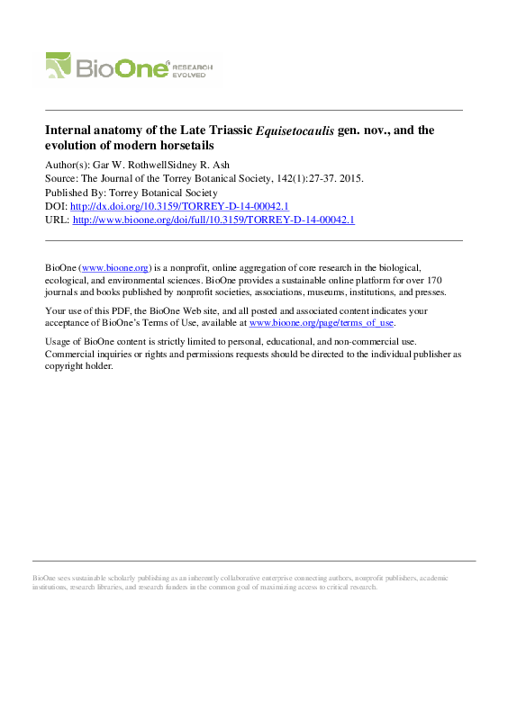 (PDF) Internal anatomy of the Late TriassicEquisetocaulisgen. nov., and ...