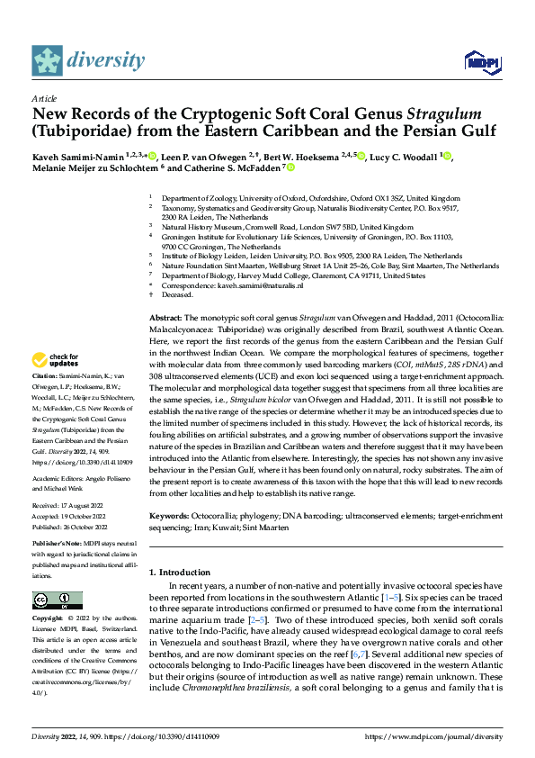 (PDF) New Records of the Cryptogenic Soft Coral Genus Stragulum ...