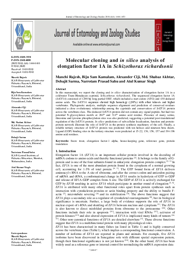 (PDF) Molecular cloning and in silico analysis of elongation factor 1A ...