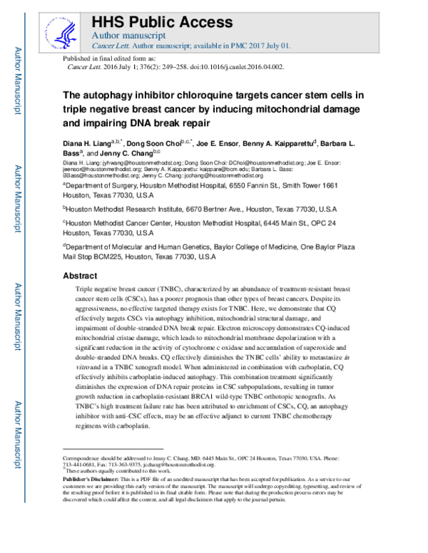 (PDF) The autophagy inhibitor chloroquine targets cancer stem cells in ...