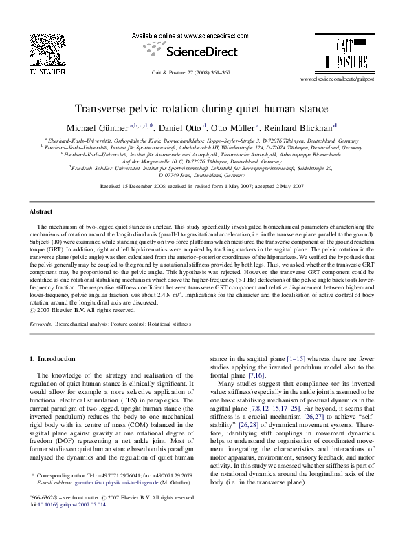 (PDF) Transverse pelvic rotation during quiet human stance
