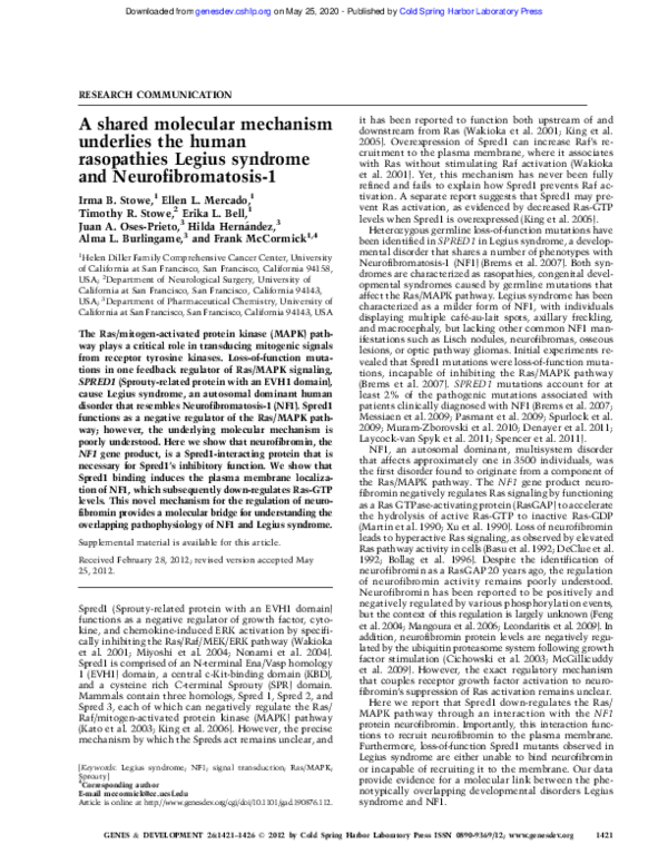 (PDF) A shared molecular mechanism underlies the human rasopathies ...