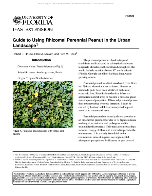 (PDF) Guide to Using Rhizomal Perennial Peanut in the Urban Landscape