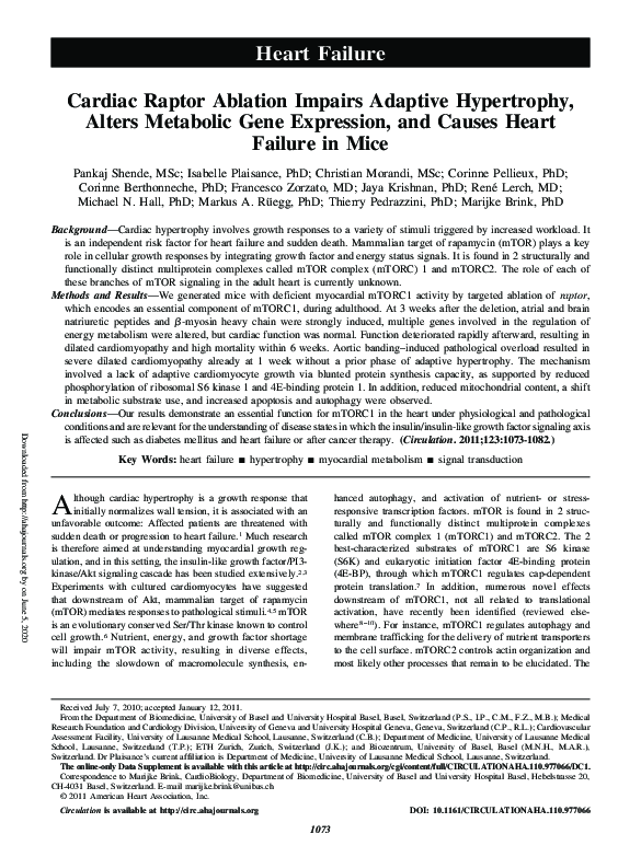 (PDF) Cardiac Raptor Ablation Impairs Adaptive Hypertrophy, Alters ...