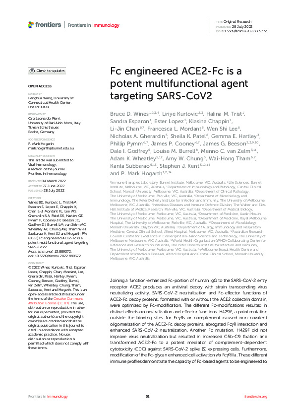 (PDF) Fc engineered ACE2-Fc is a potent multifunctional agent targeting ...