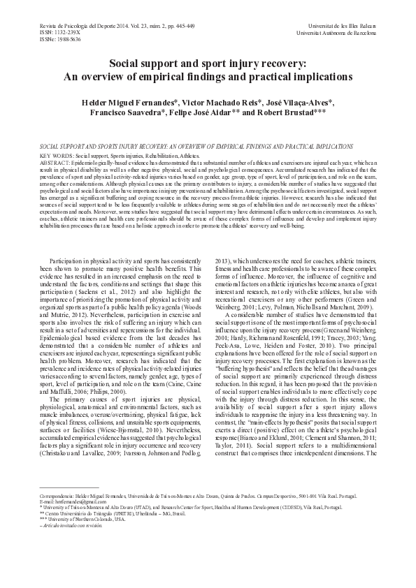 (PDF) Social support and sport injury recovery: An overview of ...