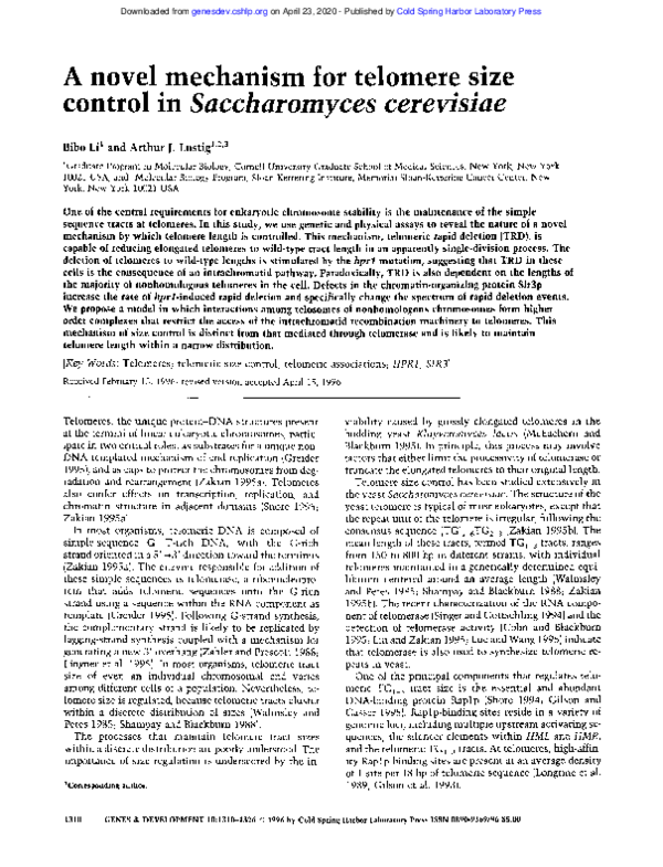 (PDF) A novel mechanism for telomere size control in Saccharomyces ...