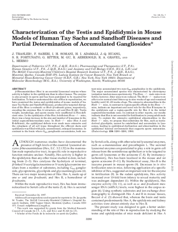 (PDF) Characterization of the Testis and Epididymis in Mouse Models of ...