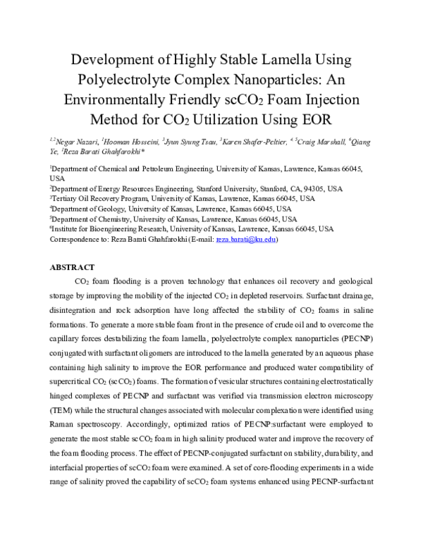 (PDF) Development of highly stable lamella using polyelectrolyte ...