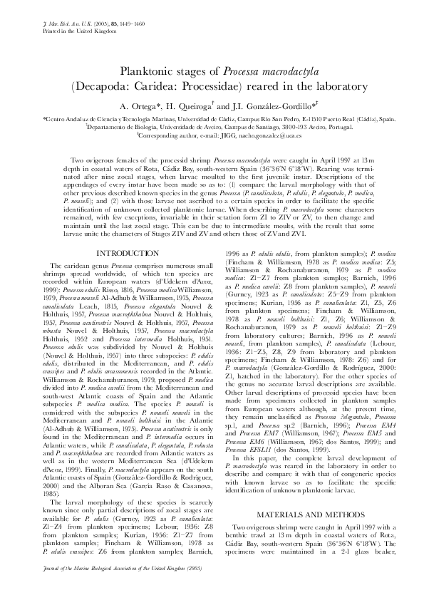 (PDF) Planktonic stages of Processa macrodactyla (Decapoda: Caridea ...