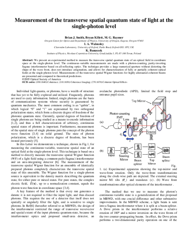 (PDF) Measurement of the transverse spatial quantum state of light at ...