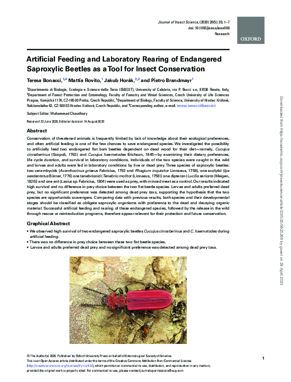 (PDF) Artificial Feeding and Laboratory Rearing of Endangered ...