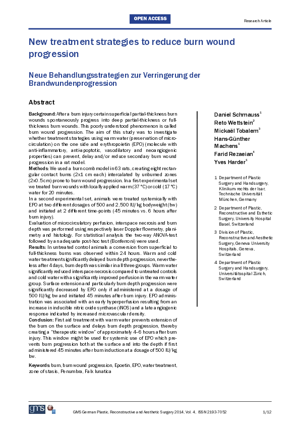 (PDF) New treatment strategies to reduce burn wound progression