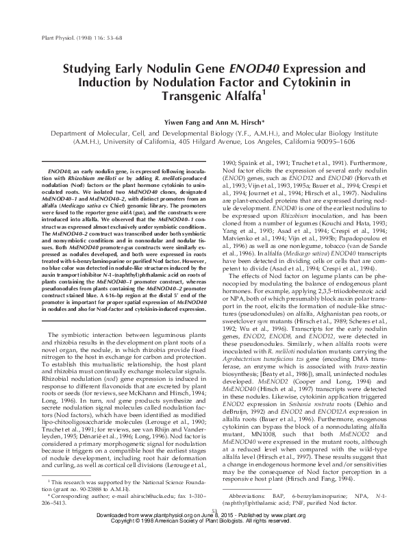 (PDF) Studying Early Nodulin Gene ENOD40 Expression and Induction by ...