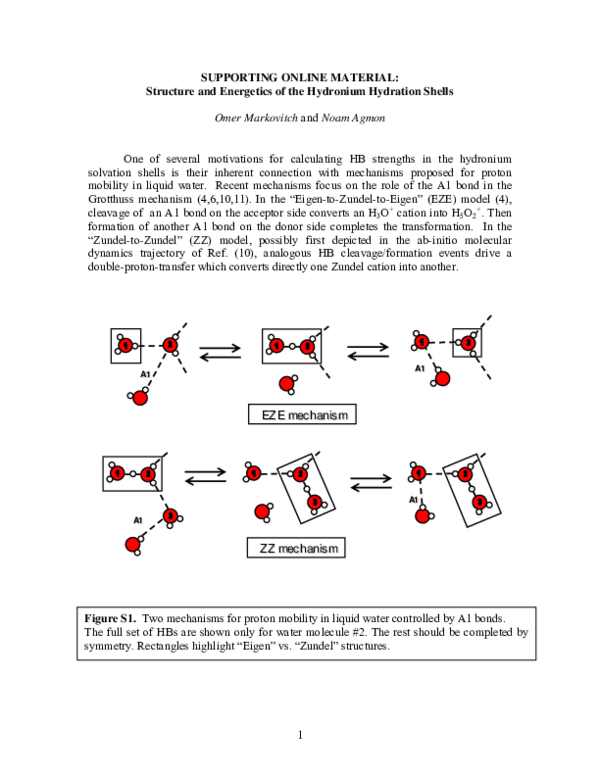 (PDF) Structure and Energetics of the Hydronium Hydration Shells