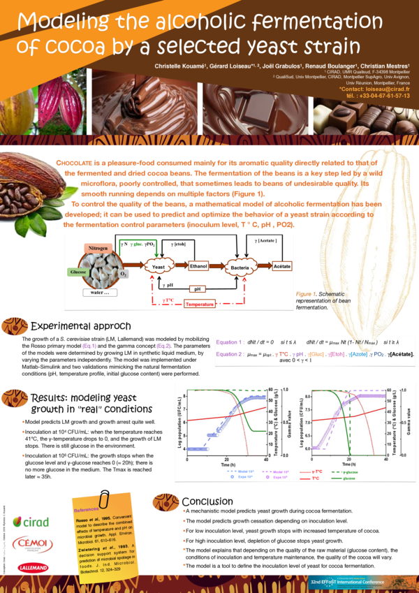 (PDF) Modeling the alcoholic fermentation of cocoa by a selected yeast ...