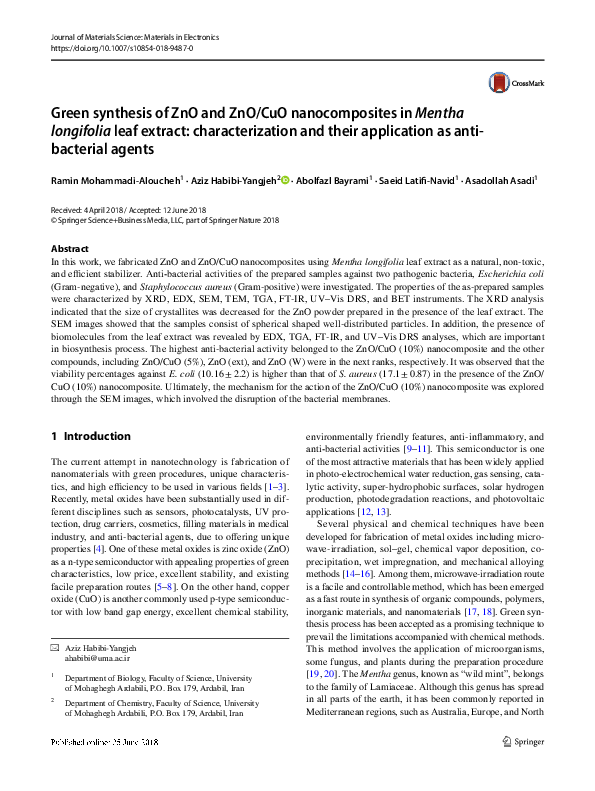 (PDF) Green synthesis of ZnO and ZnO/CuO nanocomposites in Mentha ...