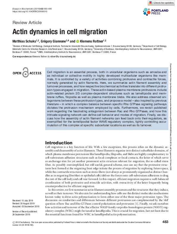 (PDF) Actin dynamics in cell migration