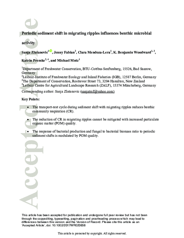 (PDF) Periodic sediment shift in migrating ripples influences benthic ...