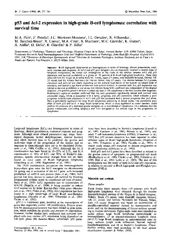 (PDF) p53 and bcl-2 expression in high-grade B-cell lymphomas ...