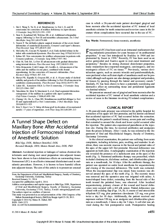 (PDF) A Tunnel Shape Defect on Maxillary Bone After Accidental ...
