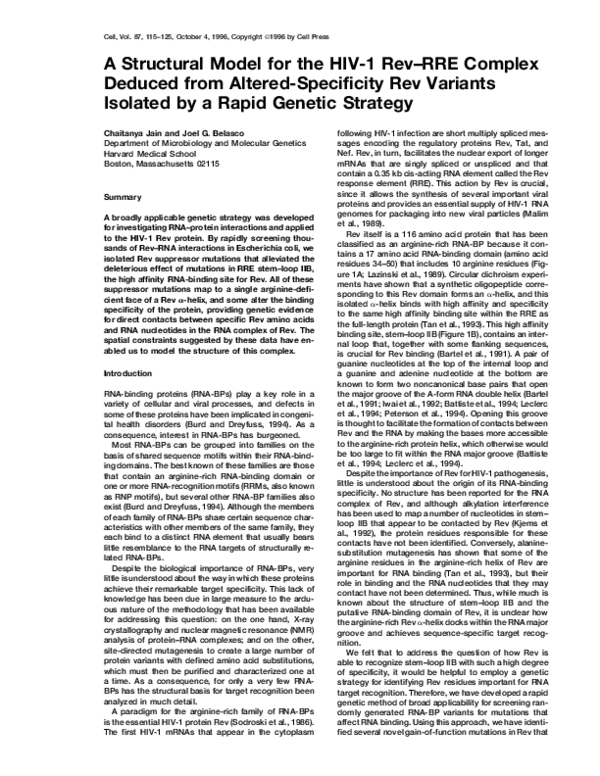 (PDF) A Structural Model for the HIV-1 Rev–RRE Complex Deduced from ...