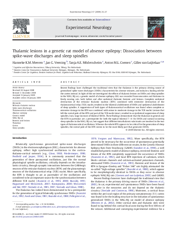 (PDF) Thalamic lesions in a genetic rat model of absence epilepsy ...
